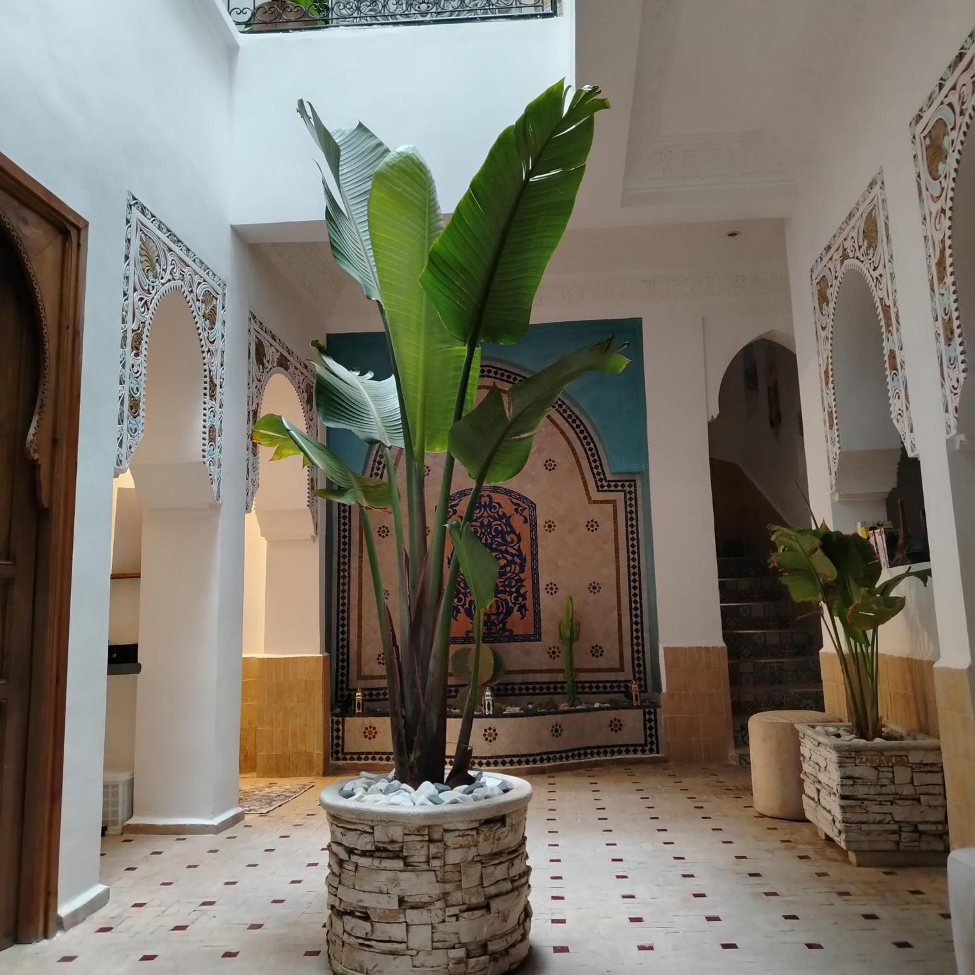Riad & Spa Sous Le Soleil Chez Jerome Et Pamela Ch Marrakchi Marrakesh Extérieur photo
